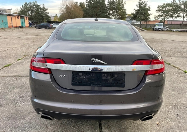 Jaguar XF cena 16700 przebieg: 244580, rok produkcji 2008 z Nysa małe 466